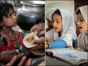 روٹی نہیں تعلیم