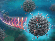 مچھلیوں کے کچرے سے برقی آلات کے بنیادی اجزا بنانے میں کامیابی