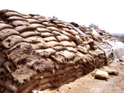 گندم کی سرکاری خریداری کا آغاز  امسال ایک کروڑ30لاکھ بوری ہدف مقرر