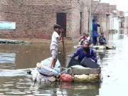 سندھ میں سیلاب سے متاثرہ درجنوں خاندانوں کی کراچی نقل مکانی