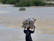 سندھ میں سیلاب اور بارشوں سے فصلیں تباہ اناج اور سبزیوں کی شدید قلت کا خدشہ