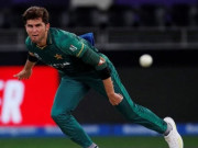 شاہین کو اب فٹبال نہ بنائیں