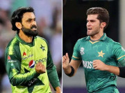 حفیظ کا شاہین کے معاملے میں مجرمانہ غفلت برتنے کا الزام عائد