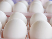 انڈوں کا کولیسٹرول میں کمی یا اضافے میں خاص کردار نہیں ہوتا