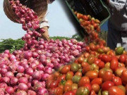 ایران و افغانستان سے ٹماٹر اور پیاز کی پاکستان آمد شروع قیمتوں میں کمی