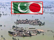 جاپان کا پاکستان کے لیے 7 ملین ڈالر ہنگامی امداد کا اعلان