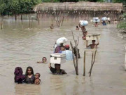 پاکستان کے سیلاب زدگان کے لیے عالمی امداد