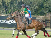 پاکستانی پولو ٹیم نے ورلڈ چیمپئن شپ کے لیے کوالیفائی کر لیا