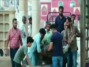 سوزوکی میں رسیوں سے بندھے شتر مرغ کی پارک میں منتقلی