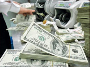 ڈالر کی اڑان جاری اوپن مارکیٹ میں قیمت 245 روپے سے تجاوز کرگئی