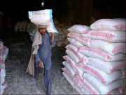 سندھ حکومت کو پانچ لاکھ ٹن گندم موصول آٹا بحران کا خطرہ ٹل گیا