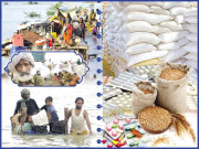 ذخیرہ اندوز جہنّم کے خریدار