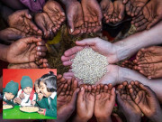 پاکستان میں نظام ِخوراک کیسے محفوظ بنایا جائے