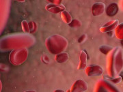 کراچی ڈینگی کیسز میں ہوشربا اضافے کے بعد میگا پلیٹلیٹس کا کاروبار عروج پر پہنچ گیا