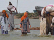 سیلاب زدگان کی بحالی پر توجہ دیں