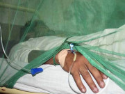 ڈنگی سے ایک اور ہلاکت مرنے والوں کی تعداد 41 ہوگئی