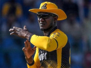 ڈیرن سیمی پی ایس ایل 8 کے لیے پشاور زلمی کے ہیڈ کوچ مقرر