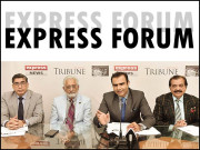 ڈنگی قابو میں حکومت اکیلے کامیاب نہیں ہو سکتی شہری ذمے داری دکھائیں ایکسپریس فورم