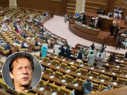 پنجاب اور خیبرپختونخوا اسمبلی میں عمران خان کی نااہلی کے خلاف مذمتی قرارداد منظور