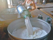 کراچی میں دودھ کی سرکاری قیمت 170 روپے فی لیٹر مقرر