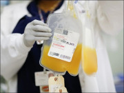 کراچی میں جعلی پلیٹ لیٹس فروخت کرنے والا جعلساز گروہ گرفتار