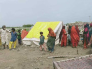 سیلاب متاثرین کی بحالی اور گڈگورننس