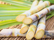 حکومت 30 نومبر تک گنا قیمت مقرر کرشنگ سیزن شروع کرائے سندھ ہائیکورٹ