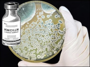 جادوئی گولی پنسلین کی کہانی چوتھا حصہ