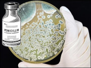 جادوئی گولی پنسلین نورمنڈی کے ساحل پر پانچواں اور آخری حصہ