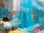 پاکستان میں انسداد ملیریا کے حوالے سے جی 6 پی ڈی منصوبے کے نتائج جاری