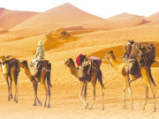 اسلام کے تجارتی اصول