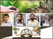 مٹی کے مسائل کا پائیدار انتظام کلائمیٹ چینج کے آگے ڈھال