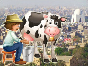 کراچی وہ گائے جو دودھ دیا کرتی تھی