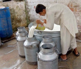 ڈیری مافیا کا دودھ کی قیمت میں 4 روپے فی لیٹر اضافے کا اعلان 