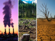 ماحولیاتی آلودگی مربوط حکمت عملی کی ضرورت