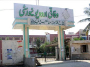 اردو یونیورسٹی؛ کورم پورا نا ہونے پر سینیٹ کا اجلاس نا ہو سکا