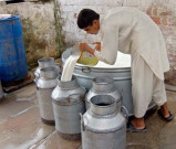 مہنگا دودھ بیچنے والوں کے خلاف کریک ڈاؤن کا آغاز