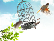 سالِ نو امیدِ نو