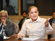 وزیر اعلیٰ پنجاب کی ووٹنگ سے قبل لیگی اراکین نے وفاق سے کروڑوں روپے فنڈز مانگ لیے