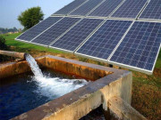 بجلی بچت 3لاکھ زرعی ٹیوب ویل سولر پرمنتقل کے جائیں گے