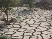 تحفّظ ماحولیات