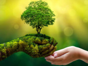 درخت ہیں تو ہم ہیں