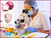 لیبارٹری میں بنے پیاز انڈے اور چکن