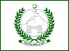 خیبرپختونخوا کی 11 رکنی ایڈوائزی کونسل، کون سا رکن کیا کام کرے گا؟