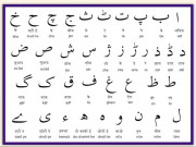 اردو کے لیے ’بین الاقوامی تعلقات‘ کے دَر کھلنے چاہئیں