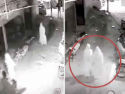 برقع پوش خواتین شادی کے گھر کا صفایا کرکے فرار