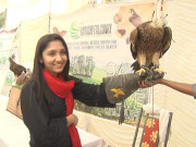 جامعہ کراچی میں عوامی آگہی کیلئے پرندوں کی نمائش