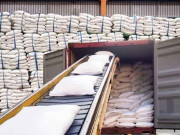 کسانوں کی اربوں روپے کی نادہندہ شوگر ملز کیخلاف کارروائی شروع