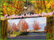 کینیڈا میں الیکٹرک بس ڈرائیوروں کی غالب اکثریت بھارتی لڑکیوں پر مشتمل ہے