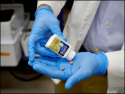 پیسہ لالچ اور دھوکا انسانیت کہاں ہے